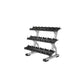 Precor Discovery Series 3 Tier, 10 Pair Dumbbell Rack (DBR0814) - Top Fitness Store