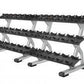 Precor Discovery Series 3 Tier, 10 Pair Dumbbell Rack (DBR0814) - Top Fitness Store