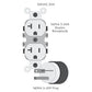 125VAC 20A duplex receptacle with NEMA 5-20R outlets and NEMA 5-20P plug connector, electrical outlet diagram on white backgr