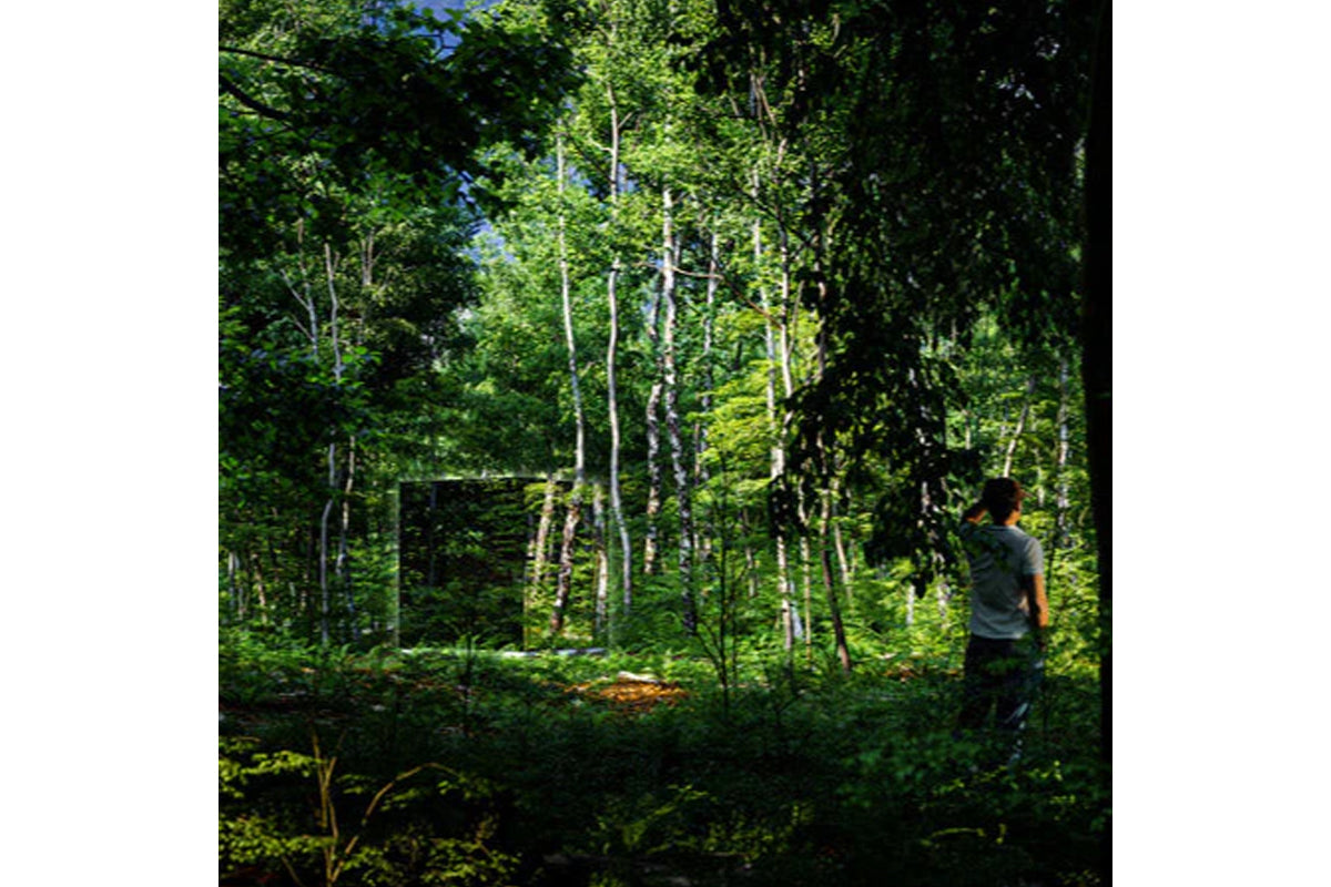 Person wearing dark gray t-shirt standing in front of outdoor sauna cabin in dense green forest with birch trees