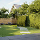 Thermasol Vue outdoor sauna with glass panels in modern backyard setting surrounded by green hedges and lawn