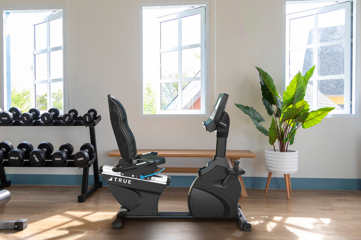 Black recumbent exercise bike with blue accents and digital display in modern gym setting with dumbbells and windows
