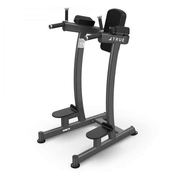 True Vertical Knee Raise/Dip (XFW - 6400) - Top Fitness Store