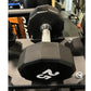 Warrior black 12-sided urethane dumbbell with white logo on hexagonal head and chrome handle, displayed in gym setting