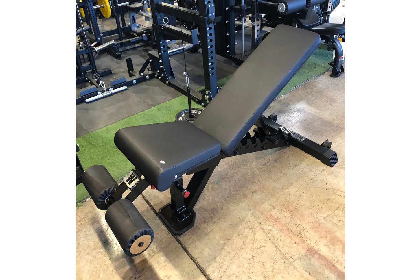 Warrior 2.0 flat incline decline weightlifting bench with black and blue padded seat, adjustable backrest, and leg extension 
