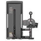 Warrior Pro Commercial Series Abdominal and Back Extension machine with gray frame, weight plate storage, and instruction cha