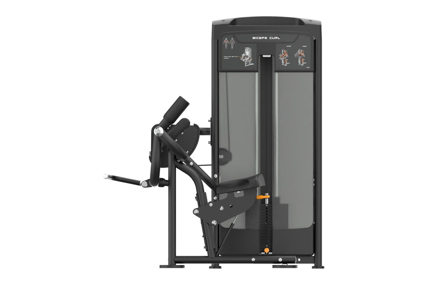 Black and gray Biceps Curl exercise machine with instruction diagrams on display panel, shown on white background