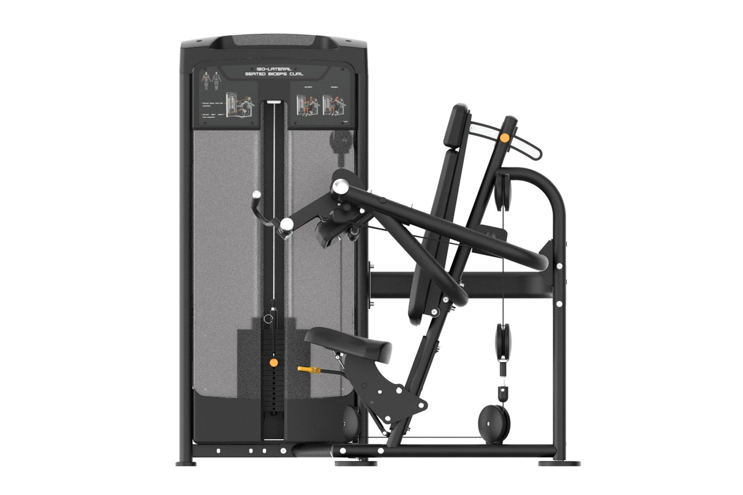 Black Iso-lateral Seated Biceps Curl machine with dual arm levers, gray cushioned panels, and weight stack on white backgroun