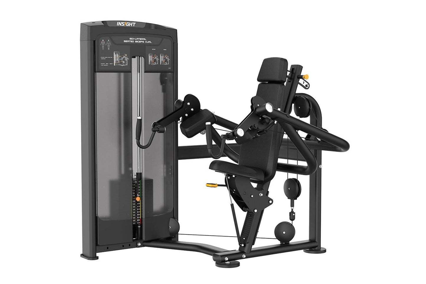 Insight Warrior Elite commercial iso-lateral seated biceps curl machine with black frame, padded seat, dual arm handles, and 