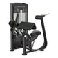 Black and gray Warrior Elite commercial seated arm curl/extension machine with padded seat and handles, front view on white b