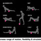 Warrior Extra Firm Foam Roller demonstrating eight muscle group exercises with silhouettes and pink target points on black ba