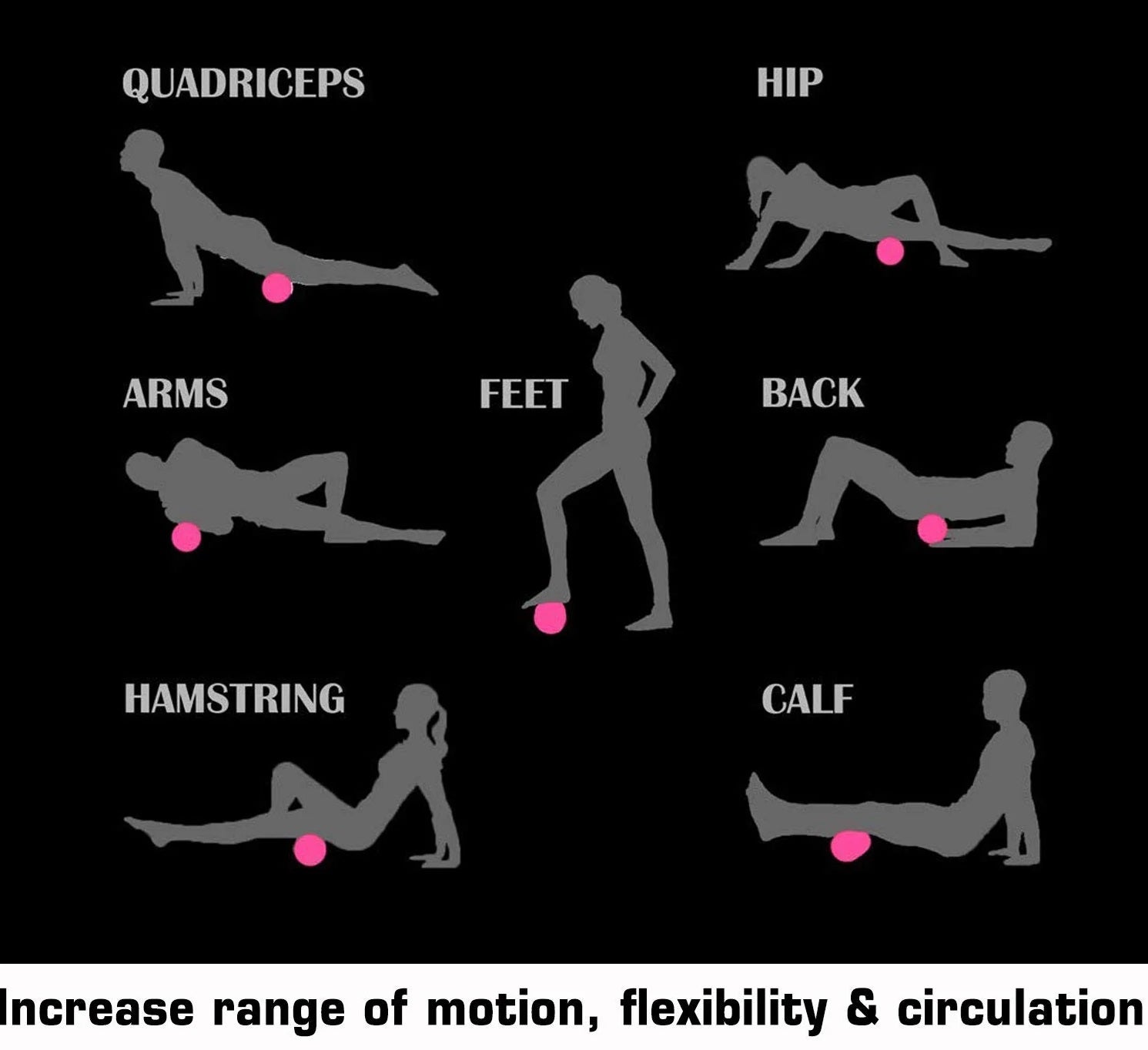 Warrior Extra Firm Foam Roller demonstrating eight muscle group exercises with silhouettes and pink target points on black ba
