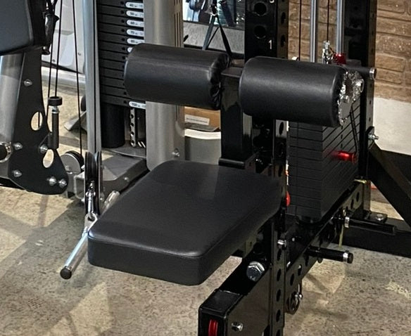 Black Warrior lat pulldown and low-row home gym system with padded seat and dual cylindrical weight selector arms on black fr