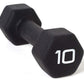 Pair of black neoprene-coated dumbbells with white "10" markings on white background