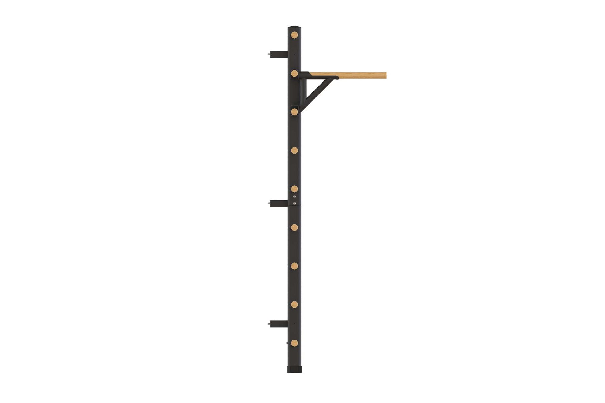Black metal wall-mounted Swedish ladder with wooden rungs and brass rivets, adjustable pull-up bar, on white background