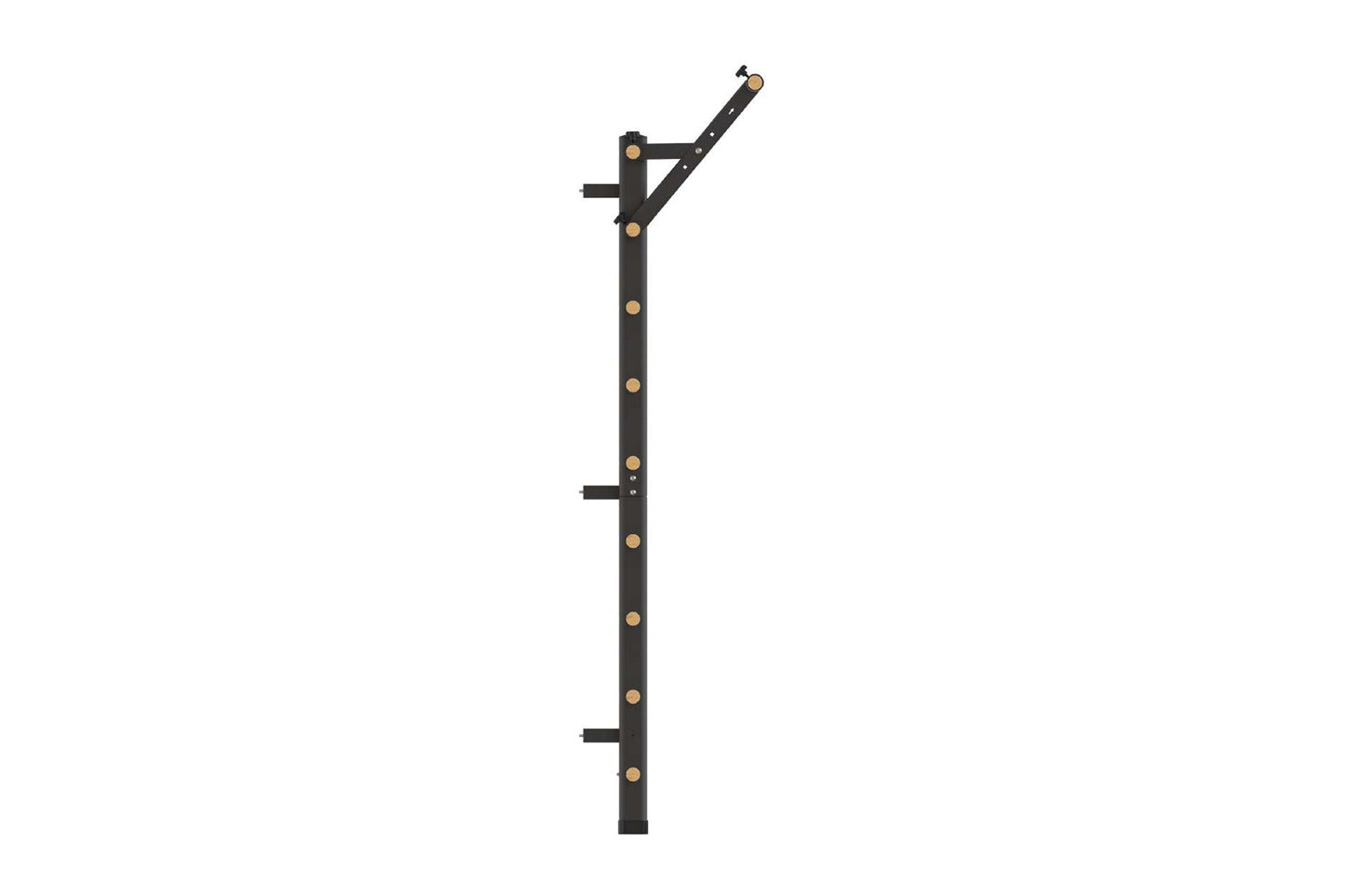 Black steel Swedish stall bars with brass fittings and adjustable pull-up bar, displayed on white background