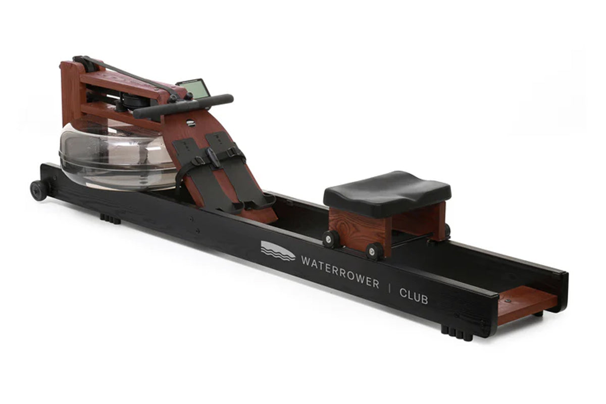 WaterRower Club rowing machine with dark wood frame, black base, water tank, and padded seat on white background