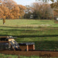 WaterRower Xeno Muller Signature Edition rowing machine with tan wood frame and black seat, displayed on grass in autumn park